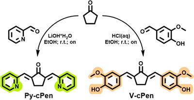 Investigating antibacterial and anti-inflammatory properties of synthetic curcuminoids